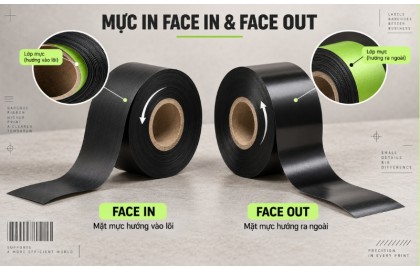 Mực in Face In và Face Out là gì? Cách phân biệt và lắp đặt chính xác